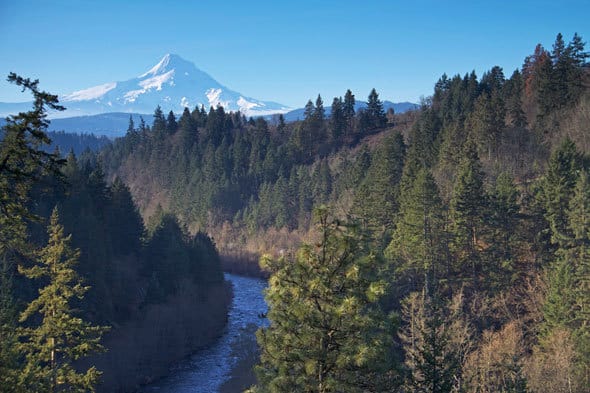 The Hood River with Mount Hood in the Background The Hood River with Mount Hood in the Background