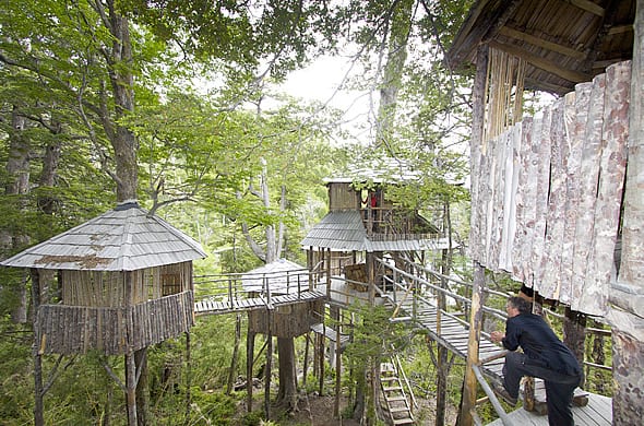 Treehouses Are Nestled in the Majestic Forest