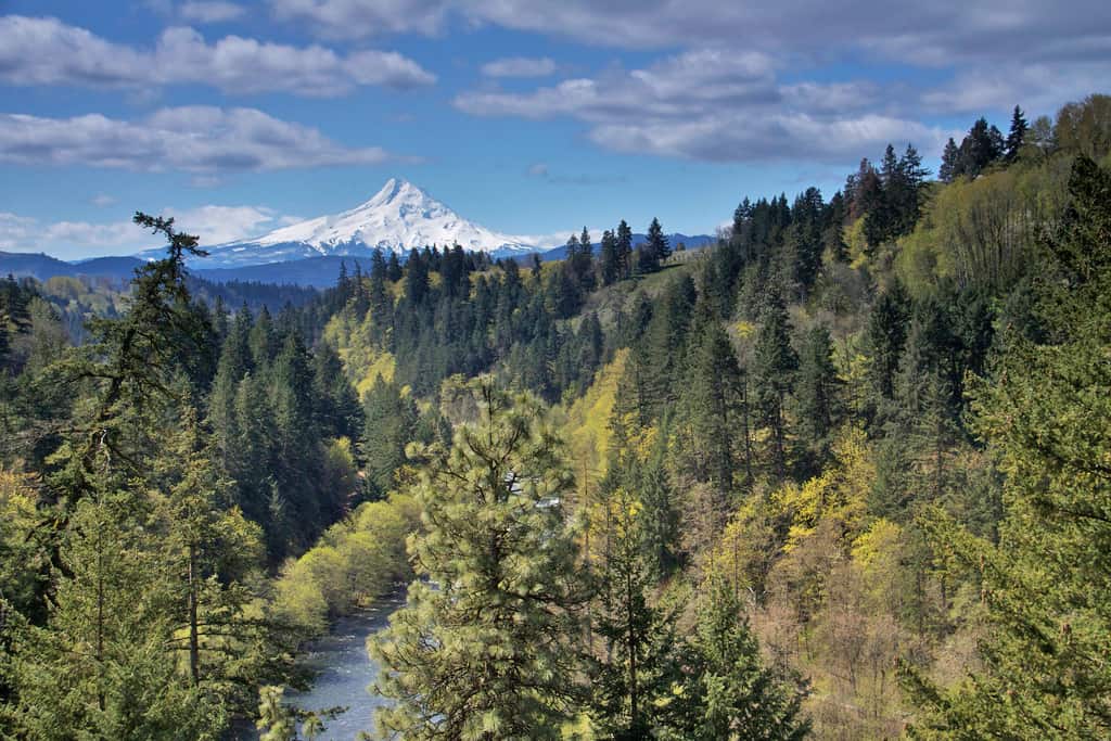 Hood River Rafting Trips Northwest Rafting Company