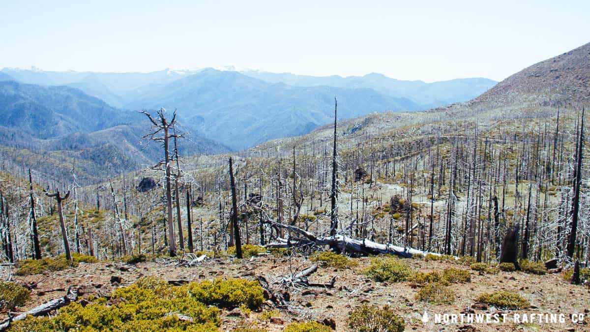 Looking down to the Chetco Canyon from Chetco Pass