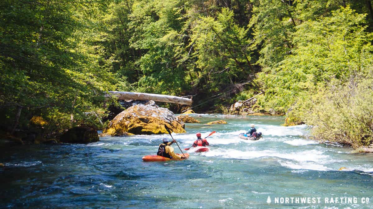 Kayaks on the Chetco River downstream of Tolman Ranch