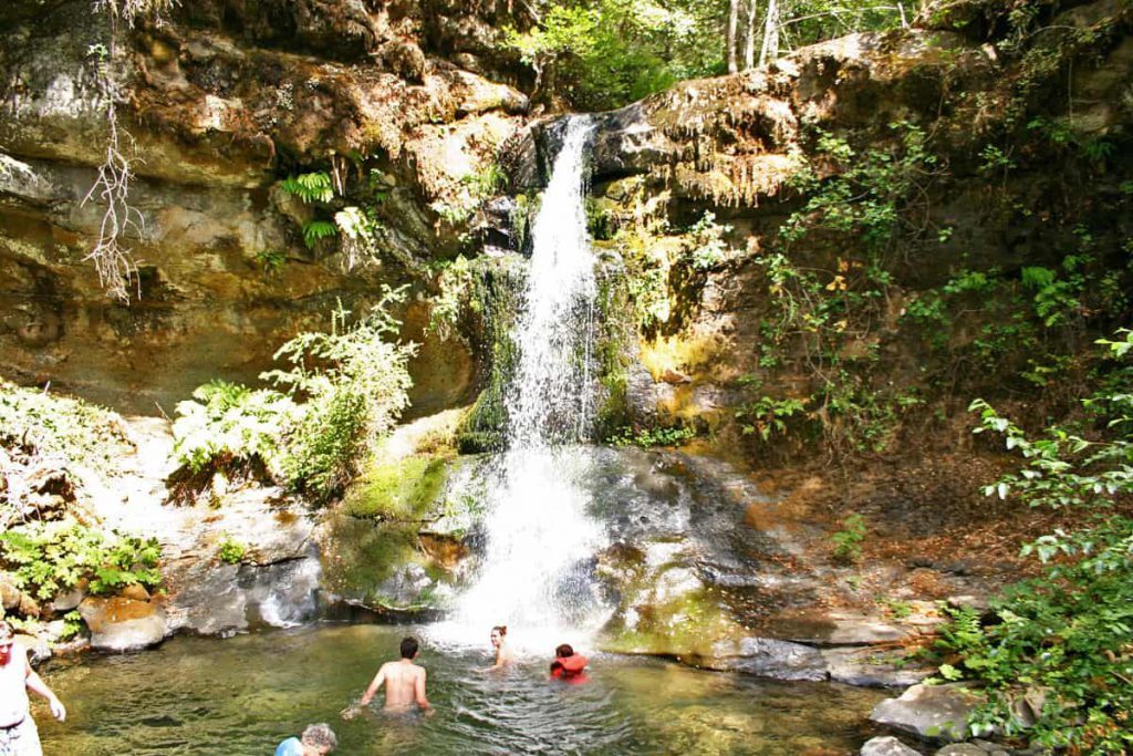 Flora Dell Creek