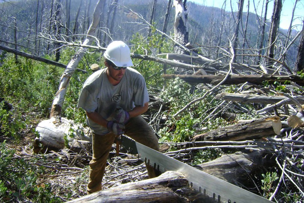 Using Paul's large crosscut saw Using Paul's large crosscut saw
