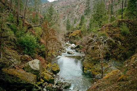 Indigo Creek | DFKWA