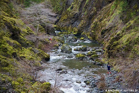Silver Creek | DFKWA