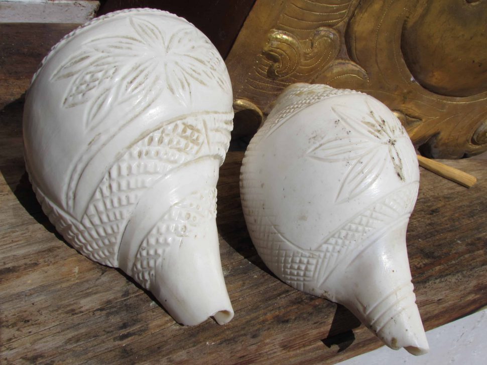 The Conch Shell