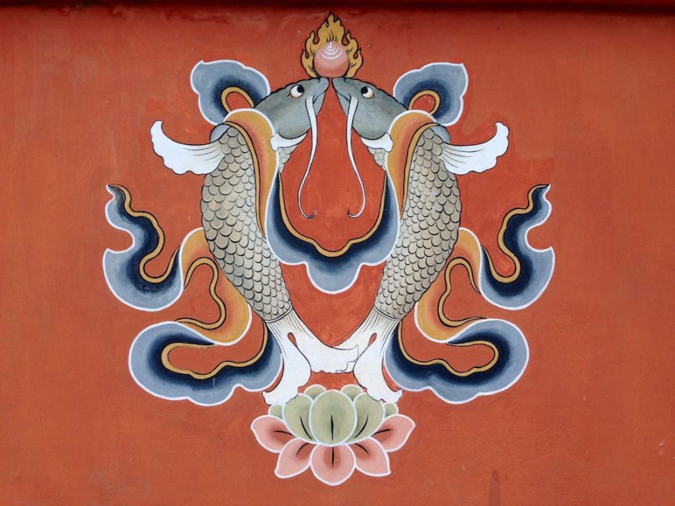 Two Golden Fish