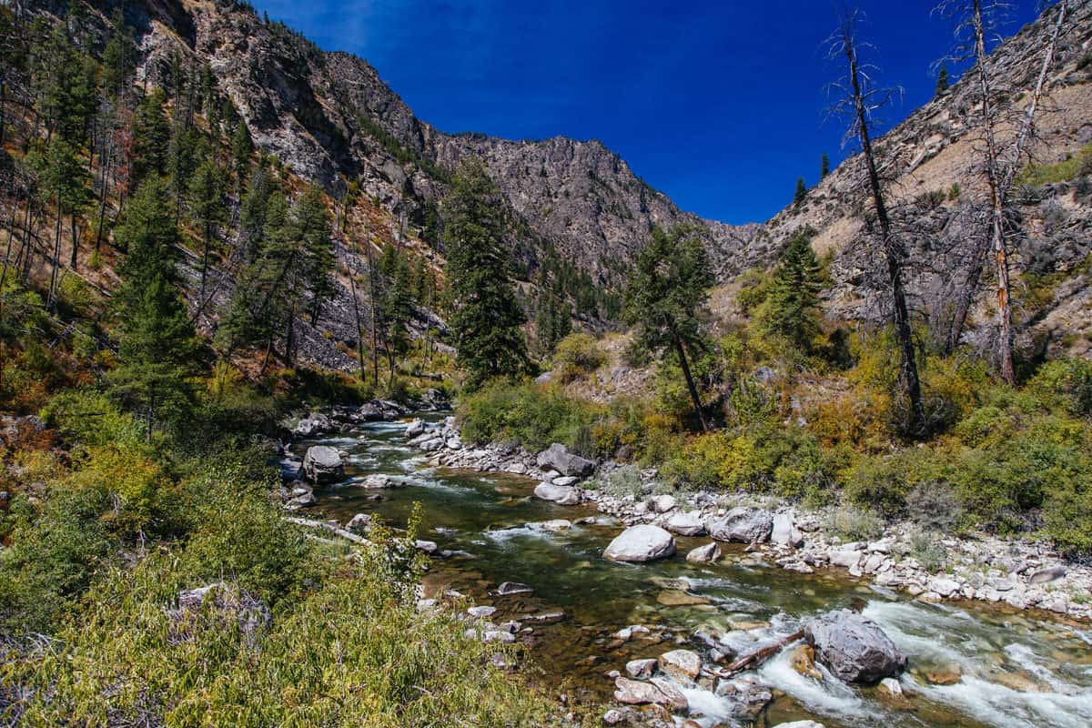 Big Creek flows through the heart of the Frank Church River of No Return Wilderness