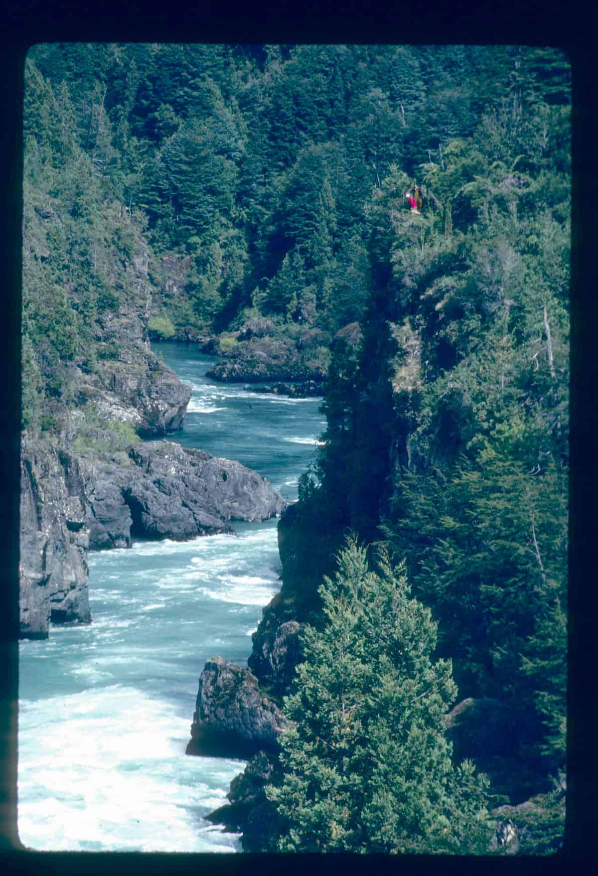 Daniel Bolster scouting Infierno Canyon after bushwhacking through trail-less forest | Photo by Peter Fox