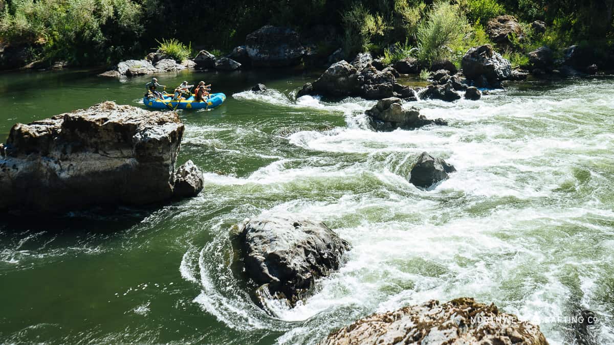 The view of Quiz Show Rapid from the Rogue River Trail