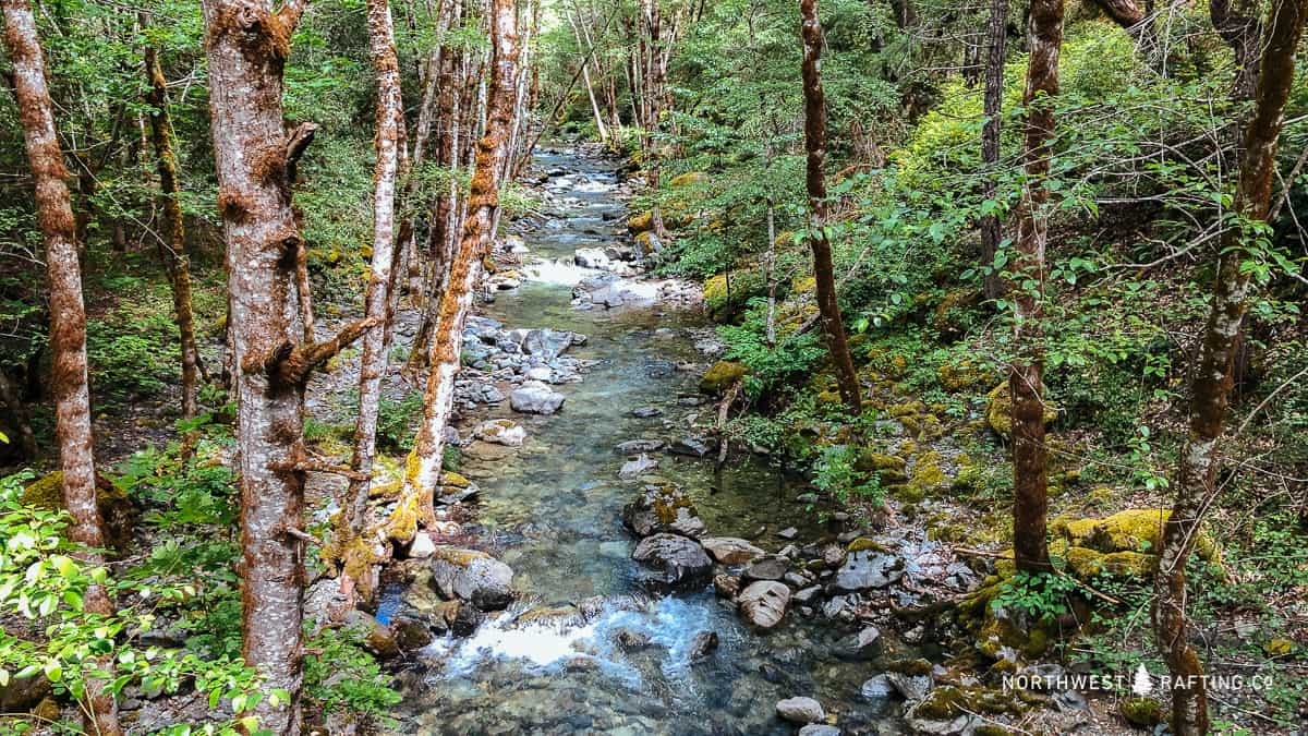 The View of Whiskey Creek From the Rogue River Trail