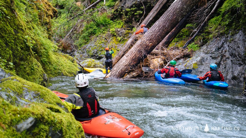 Wood is a significant hazard for paddlers