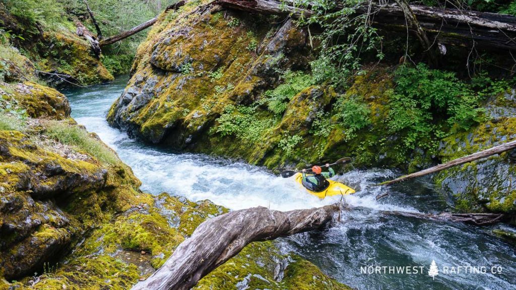Kayaking one of the many steep drops on Indigo Creek