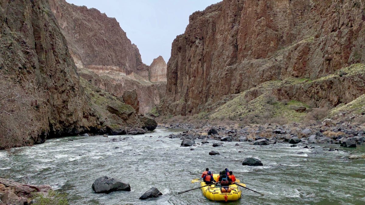 Montgomery Rapid