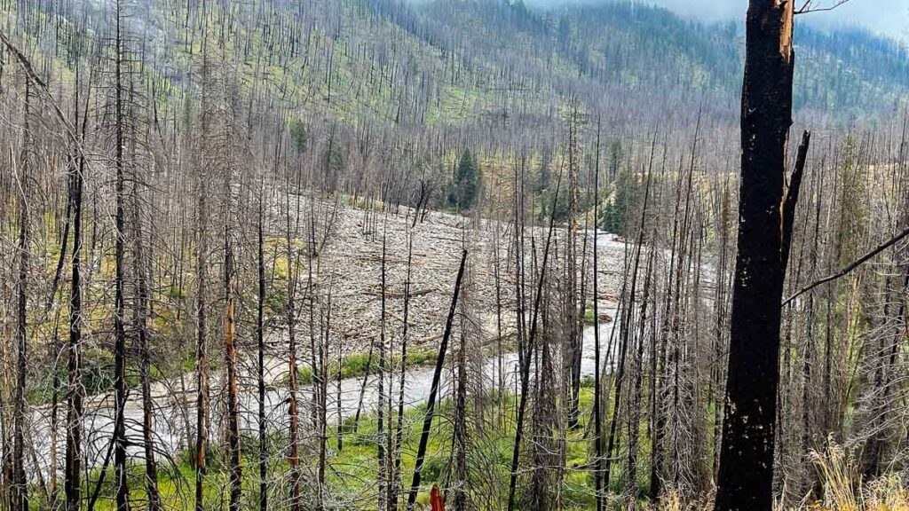 Debris Flow at Sulphur Slide Rapid