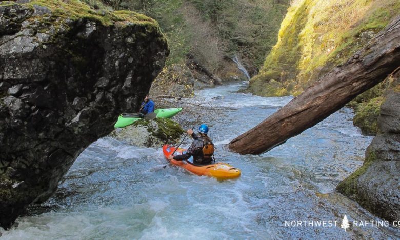 The Lake Branch of the West Fork of the Hood River