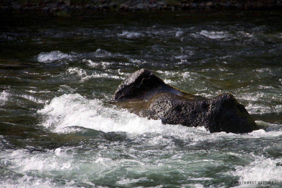 Low Water on the Gauge Rock (4.9 feet)