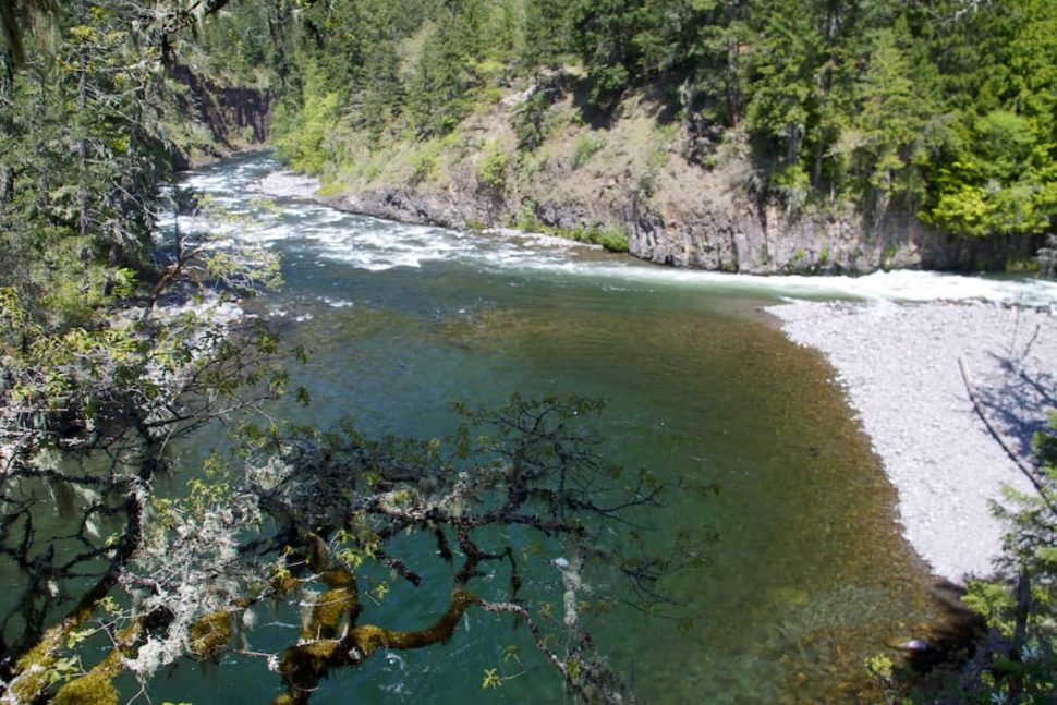 Confluence of the East and West Forks of the Hood River