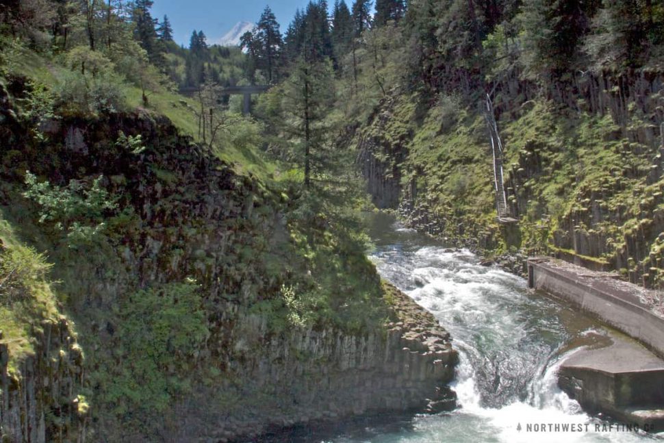 Punchbowl Falls and Mount Hood in the Background