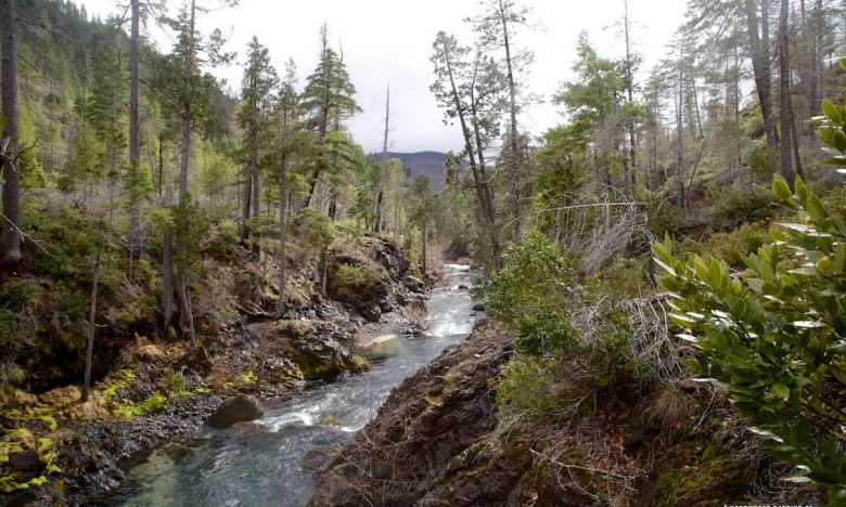 Looking down Baldface Creek above Biscuit Creek