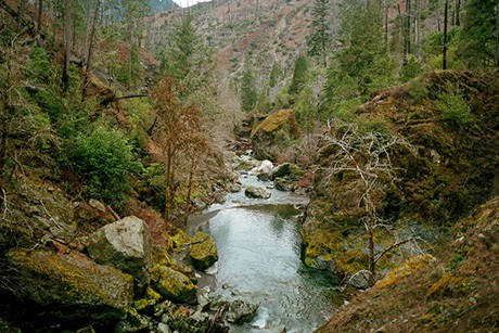 Indigo Creek | DFKWA