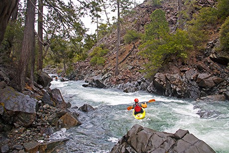 Josephine Creek | DFKWA