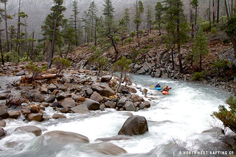 Rough and Ready Creek | DFKWA