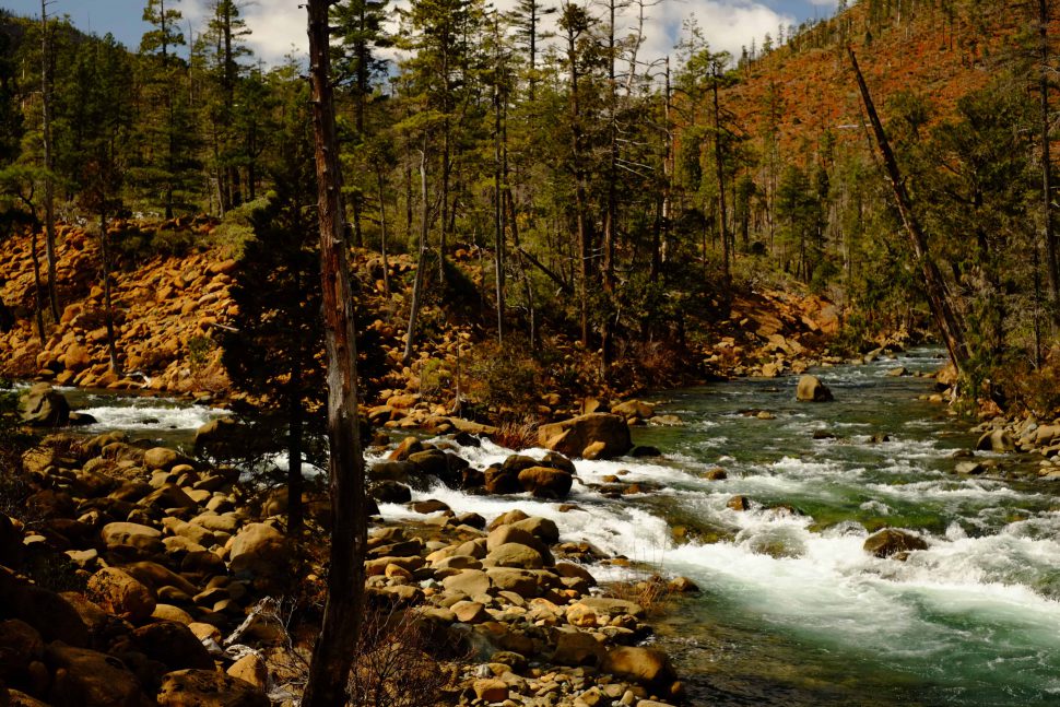 Confluence of Rough and Ready Creek's North and South Forks