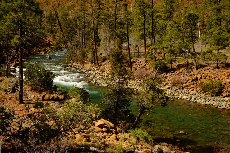 Rough and Ready Creek flows remarkably clear.