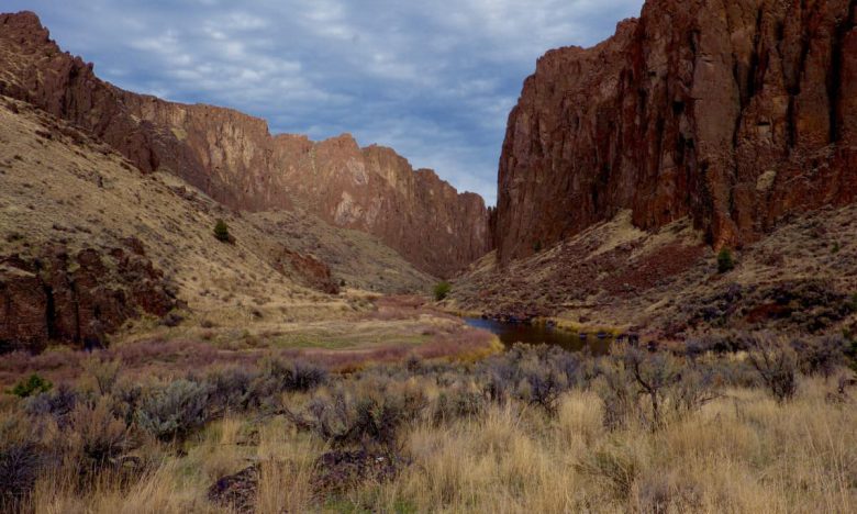 Main Fork of the Owyhee River