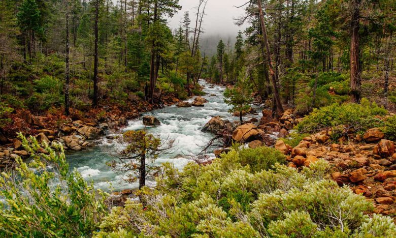 The North Fork of Rough and Ready Creek