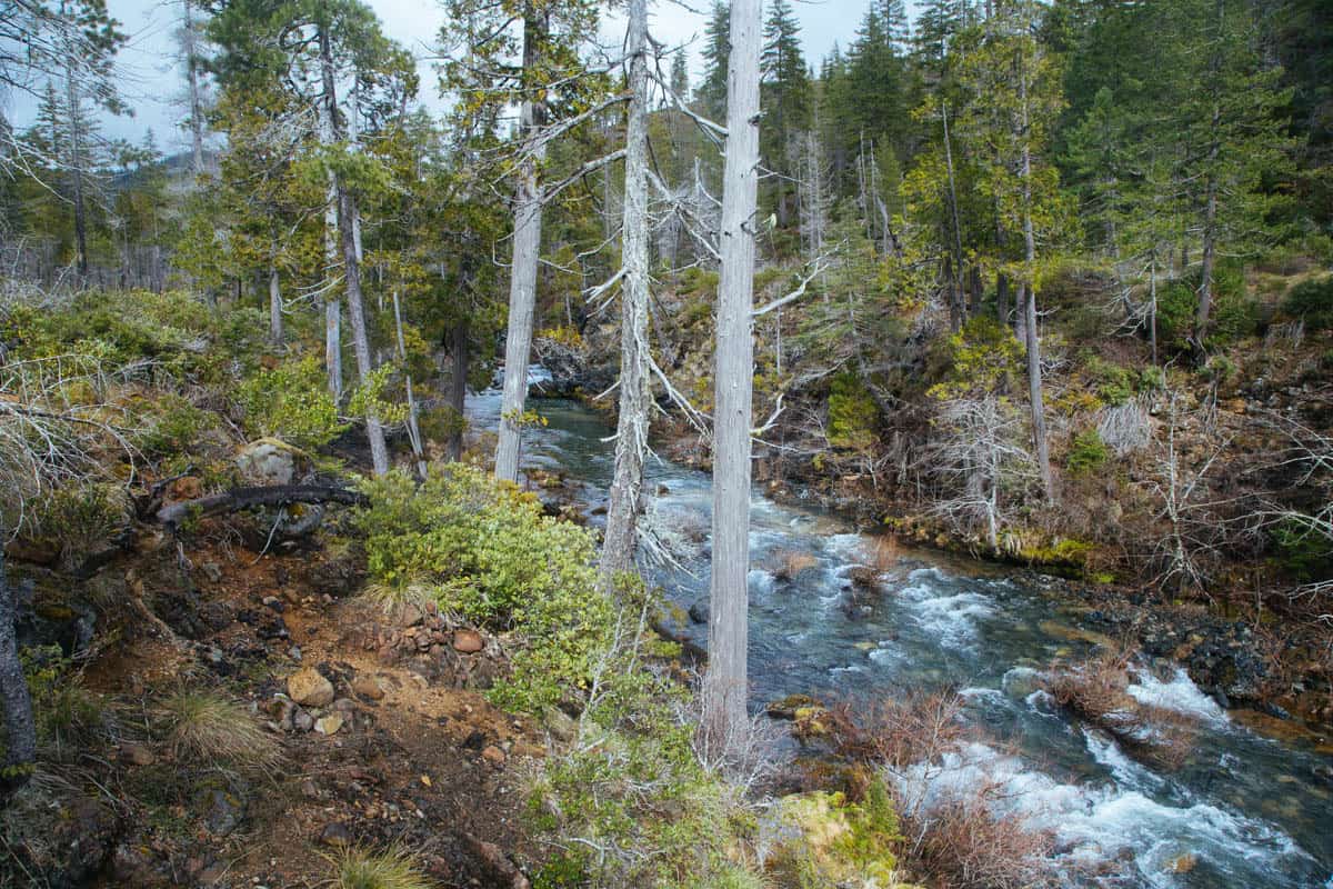 Baldface Creek is a tributary of the Wild and Scenic North Fork of the Smith River