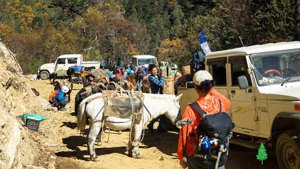 Packing the mules at the beginning of the trek