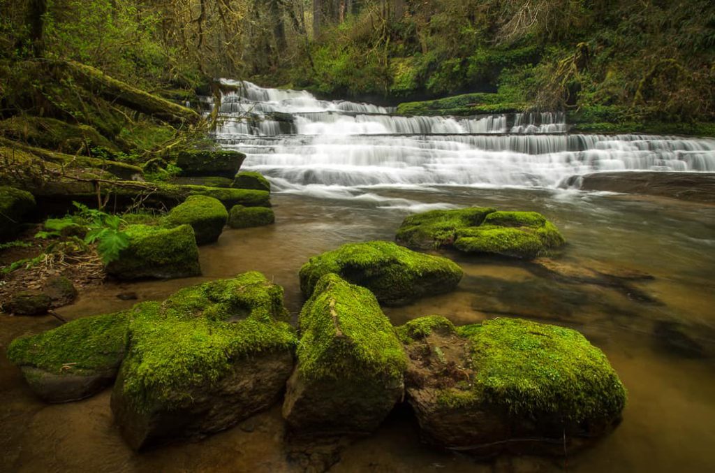 photo ops water falling over rocks, stream, natural forest