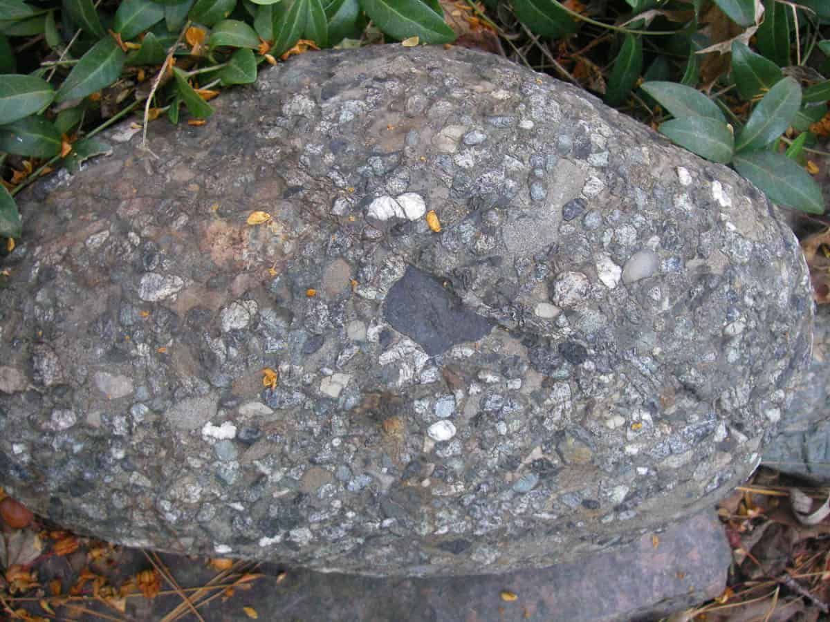 Pebble Conglomerate
