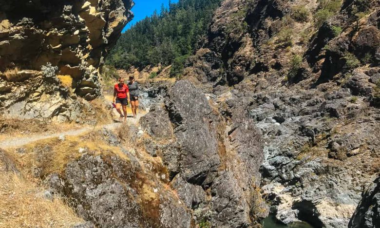 Osprey are Common Along the Rogue River