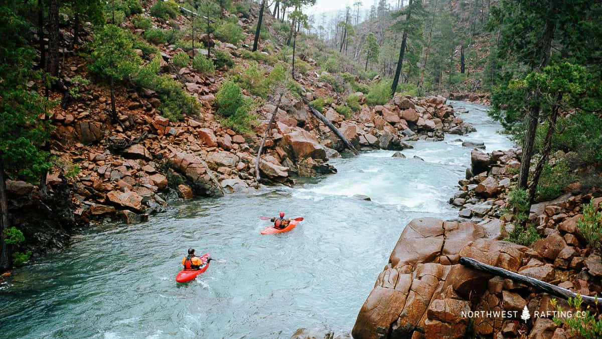 Rough and Ready Creek is an eligible Wild and Scenic River