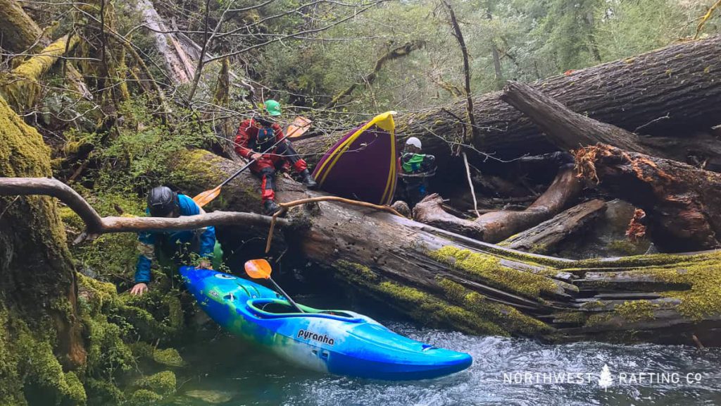 One of many log portages on the Upper North Fork of the Smith River