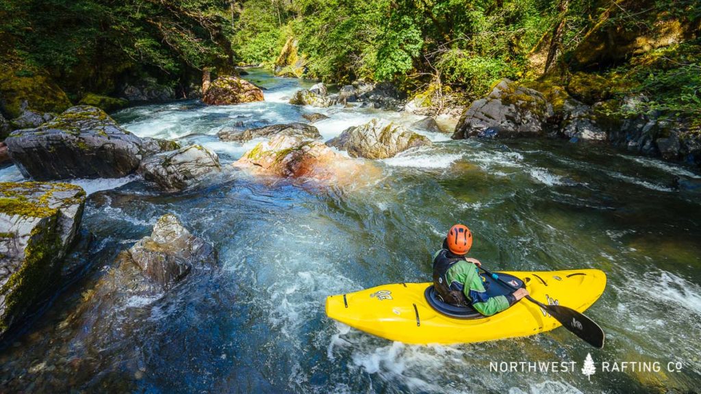 Whitewater kayaking on Indigo Creek