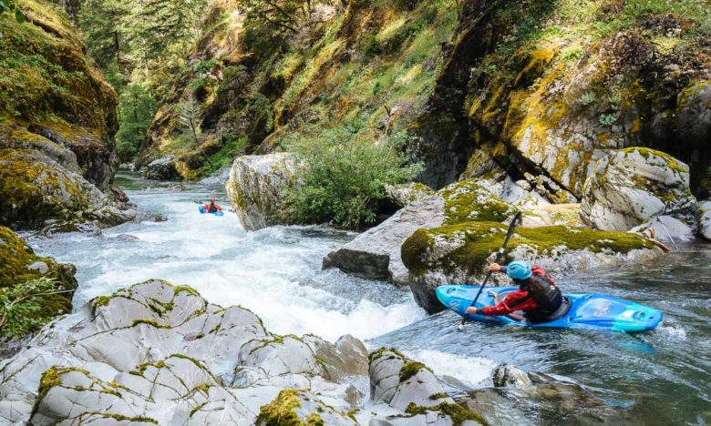 Kayaking Indigo Creek