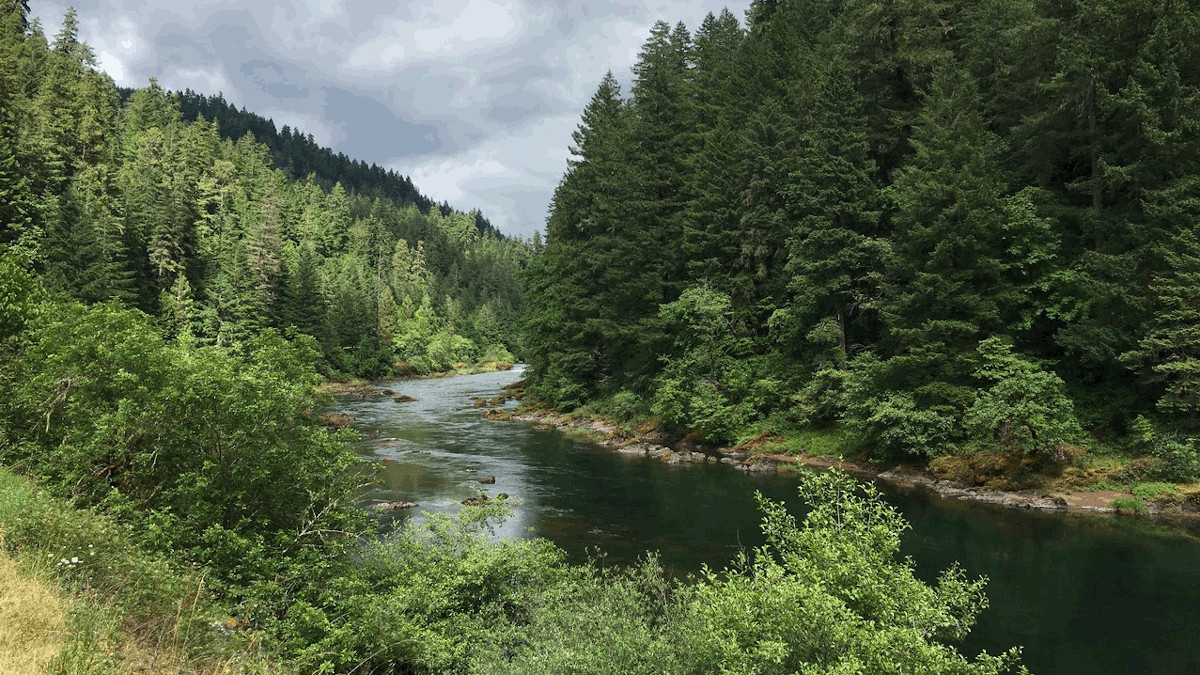 North Umpqua View