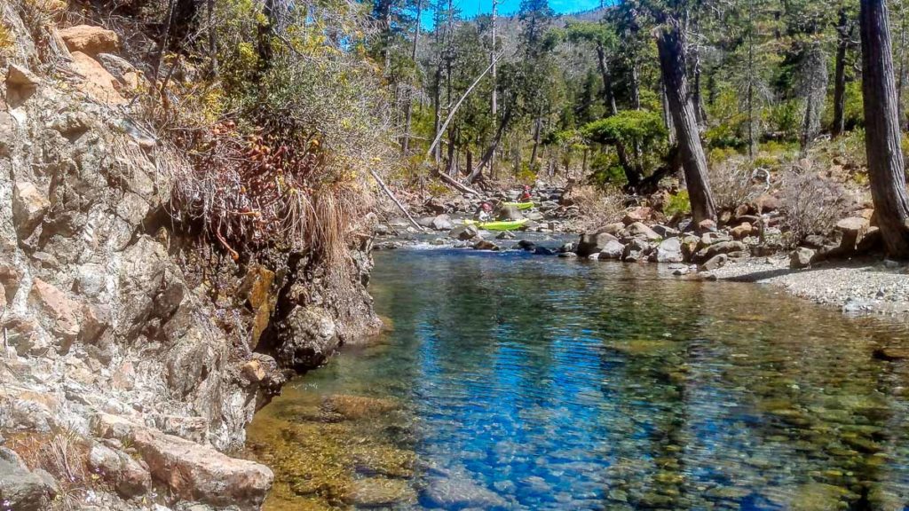 Rare Plants and Clean Water on Clear Creek